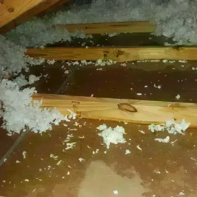 Attic Water Damage in Ashaway, RI